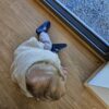Mutsu lastesussid – sinised 4